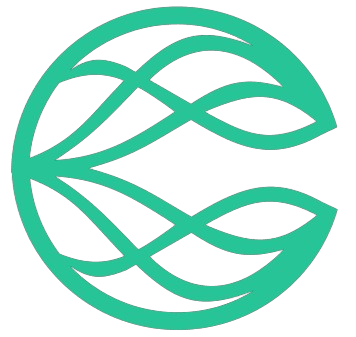 creatiosa-website.pages.dev favicon